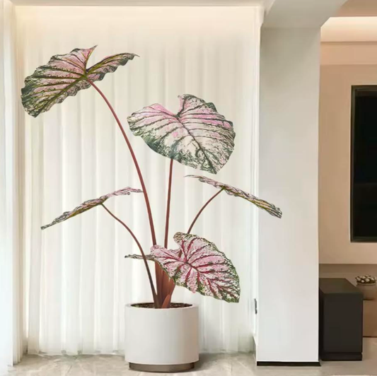 Caladium artificiel
