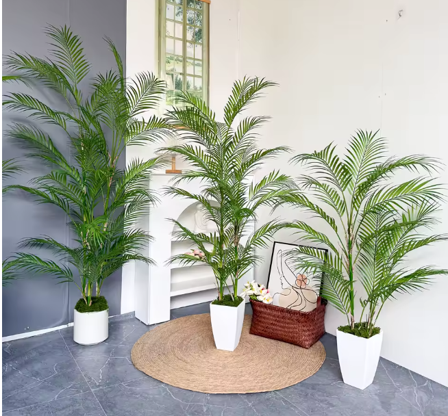 Palmier Géant
