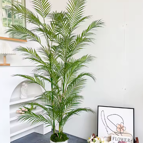 Palmier Géant