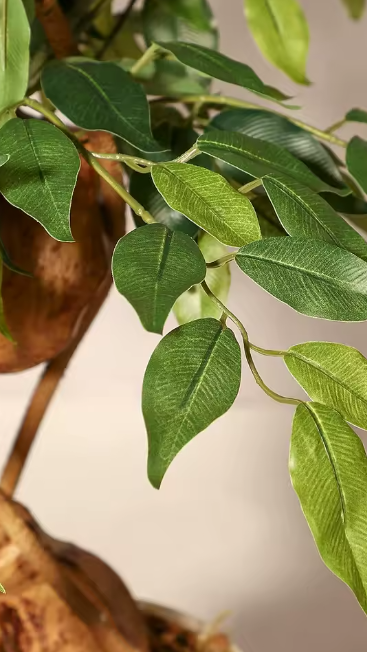 Arbre artificiel "Ficus"