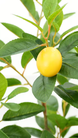 Arbre artificiel citronnier
