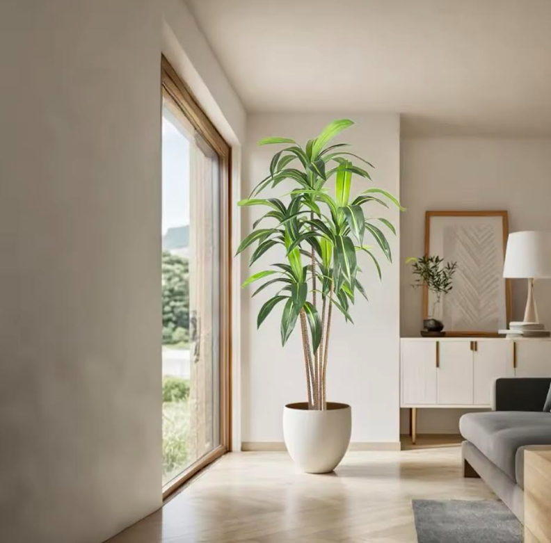 Dracaena artificiel