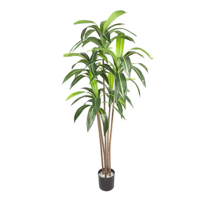 Dracaena artificiel