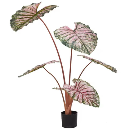 Caladium artificiel