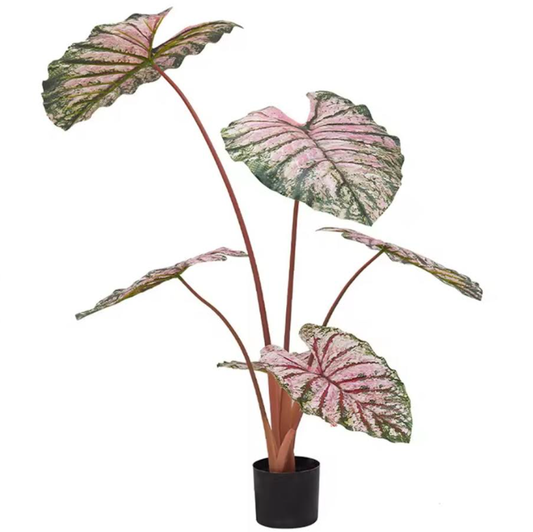 Caladium artificiel