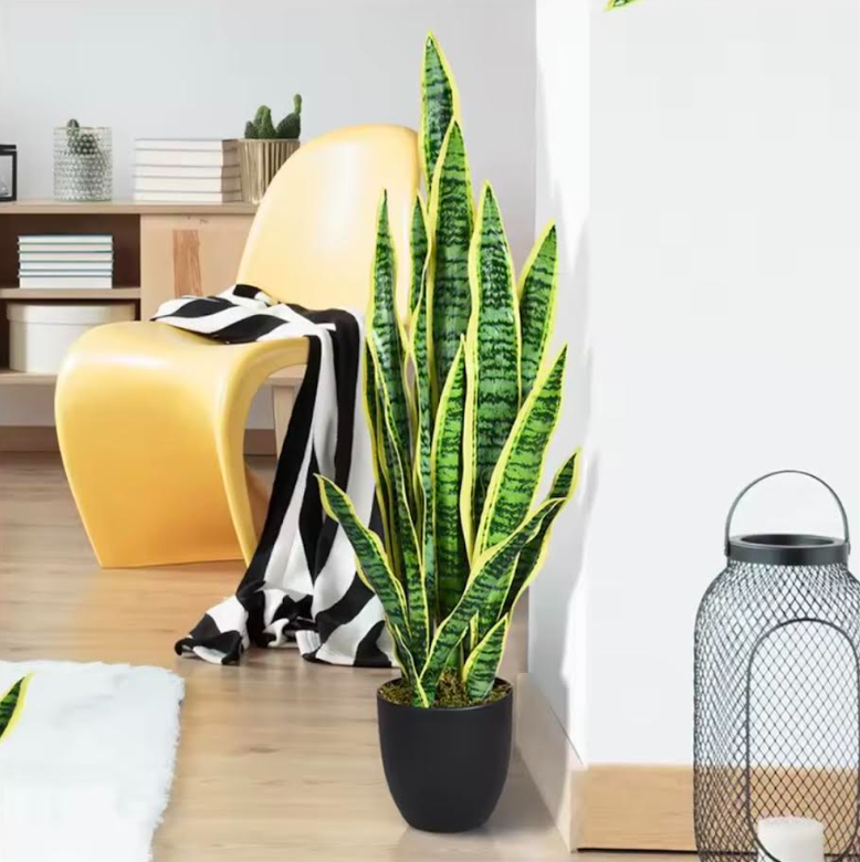 Sansevieria artificielle