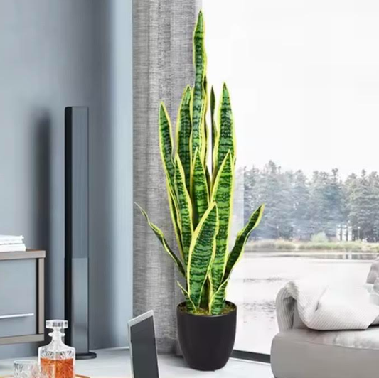 Sansevieria artificielle