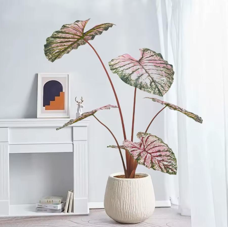 Caladium artificiel